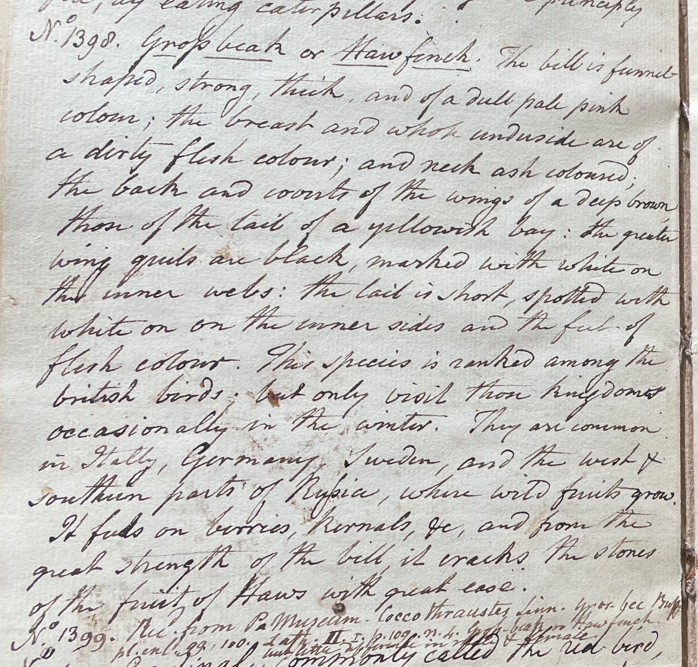 Lecture on Natural History 32