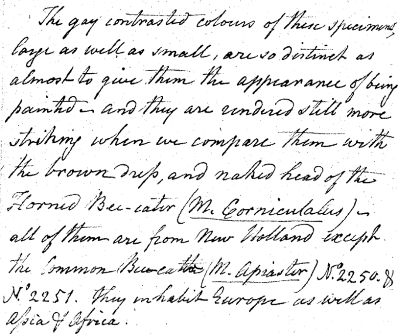 "A Walk through the Philad[elphi]a Museum"