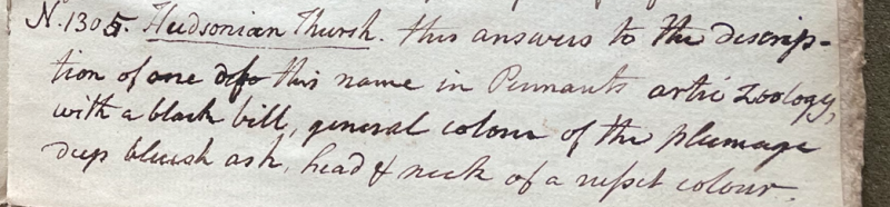 Lecture on Natural History 31