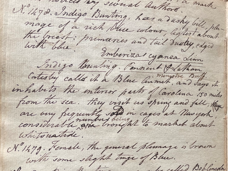 Lecture on Natural History 33