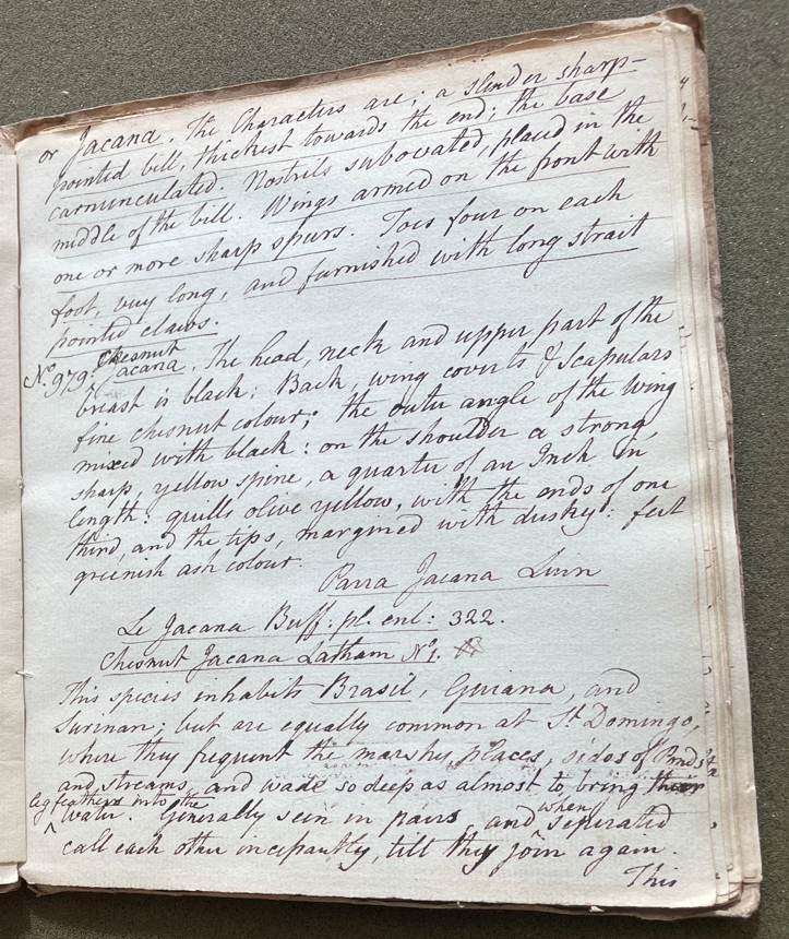 Lecture on Natural History 27