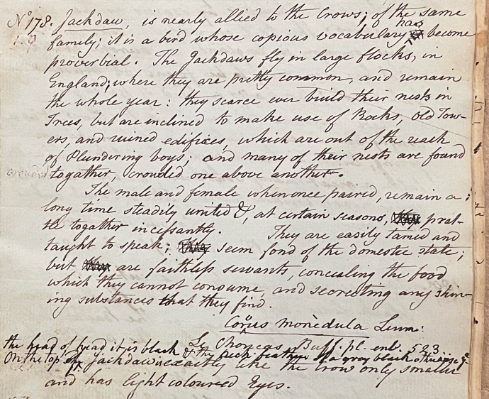 Lecture on Natural History 17