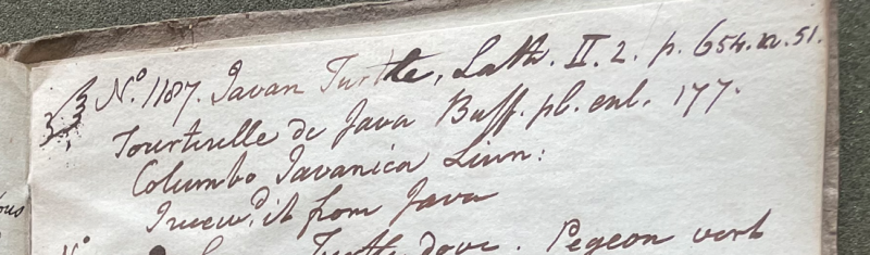 Lecture on Natural History 30.