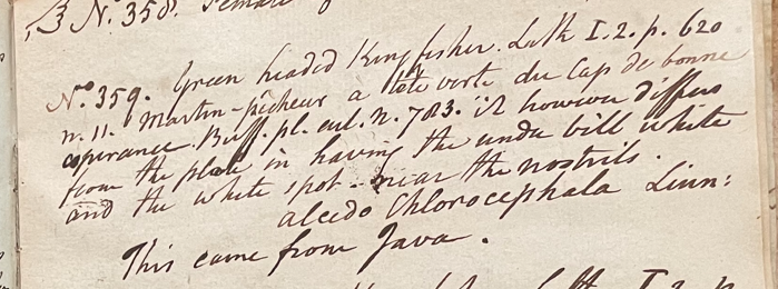 Charles Willson Peale, Lecture on Natural History 19