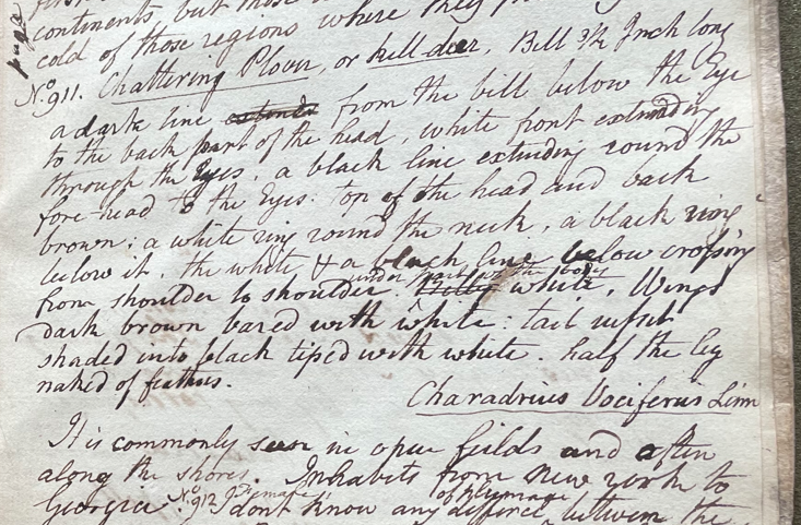 Lecture on Natural History 26