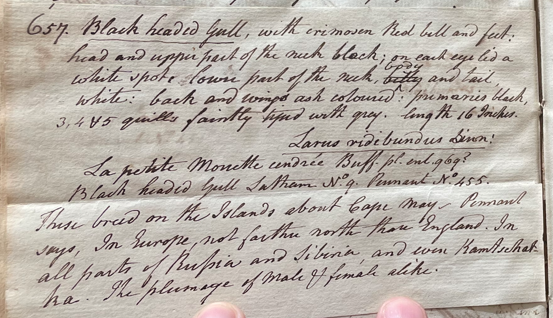 Lecture on Natural History 24