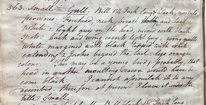 Lecture on Natural History 24