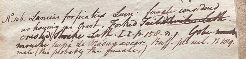 Lecture on Natural History 15