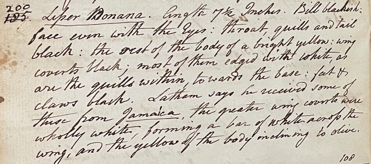 Lecture on Natural History 17