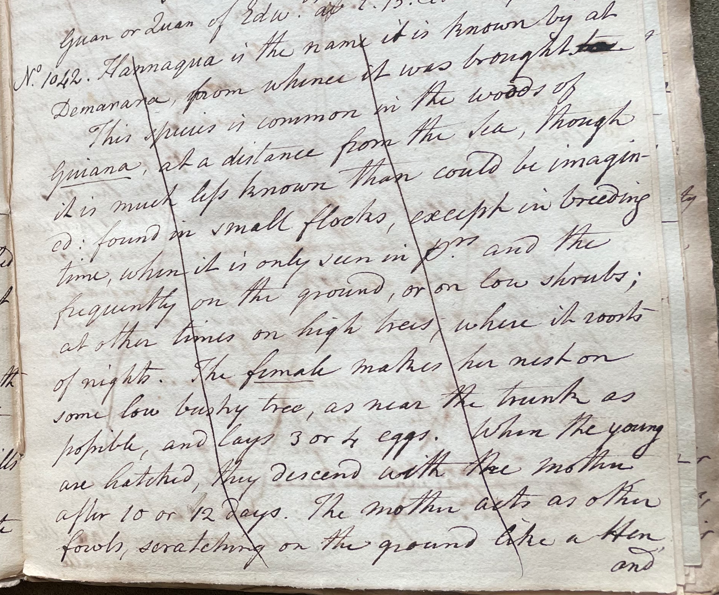 Lecture on Natural History 28