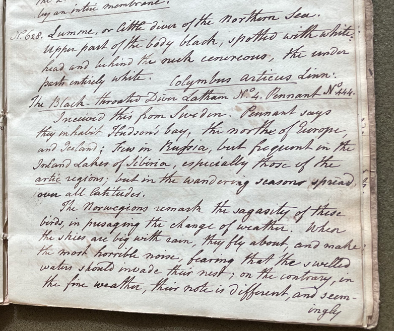 Lecture on Natural History 24