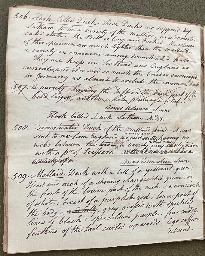 Charles Willson Peale, Lecture on Natural History 22