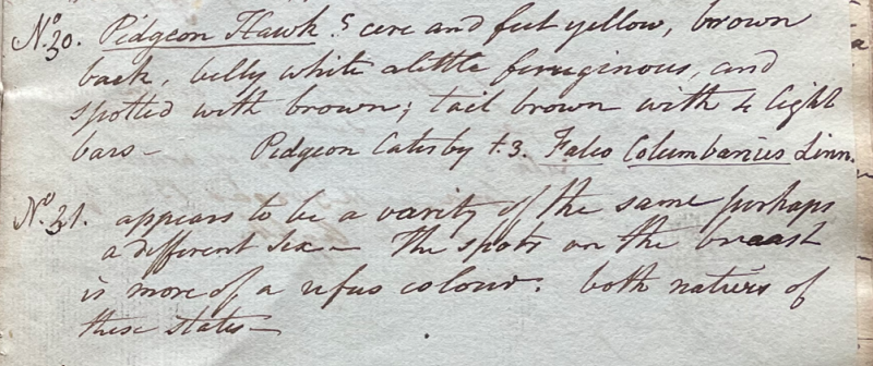 Lecture on Natural History 13