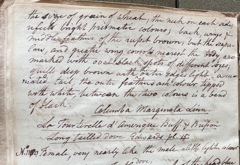 Lecture on Natural History 30