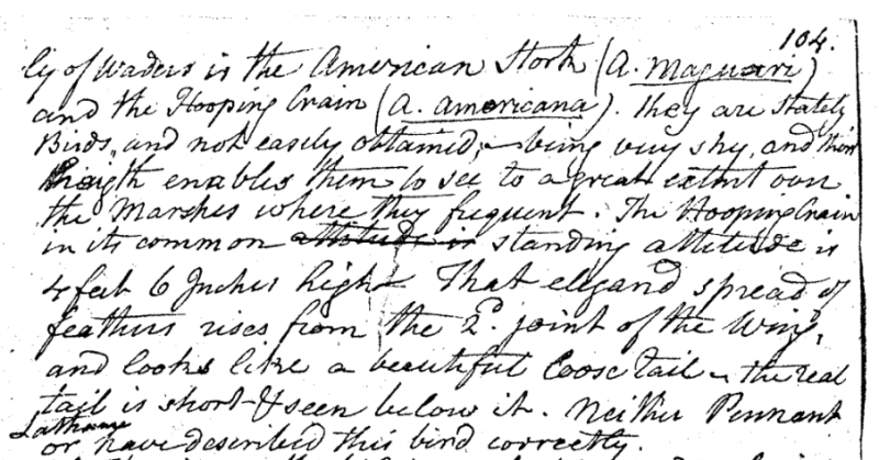 "A Walk through the Philad[elphi]a Museum"