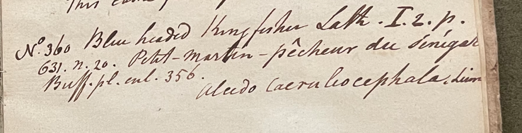 Charles Willson Peale, Lecture on Natural History 19