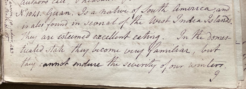 Lecture on Natural History 28