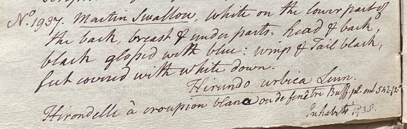 Lecture on Natural History 38