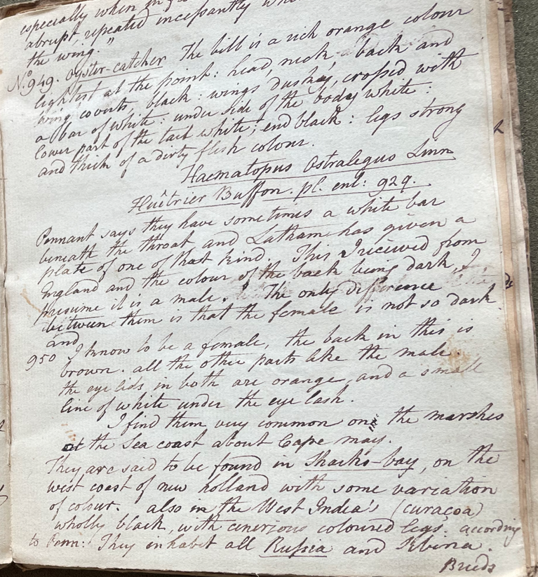 The natural history of Carolina, Florida and the Bahama Islands... Volume 1, T. 85