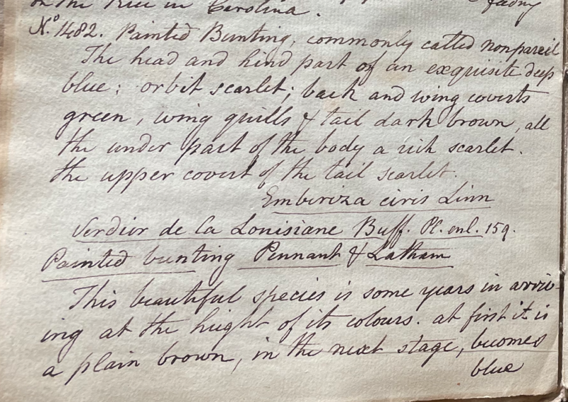 Lecture on Natural History 33