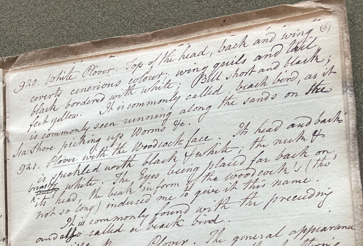 Lecture on Natural History 26