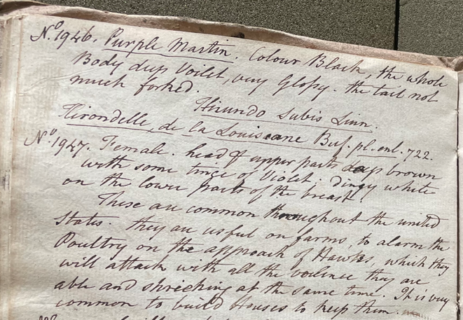 Lecture on Natural History 38