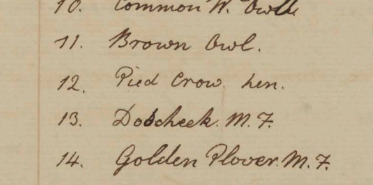 Peale Museum Accessions Book, 15 August 1806
