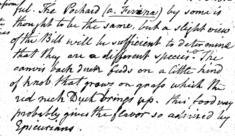 Charles Willson Peale, "A Walk through the Philad[elphi]a Museum" 