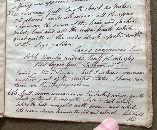 Lecture on Natural History 24