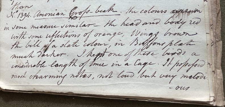 Lecture on Natural History 32