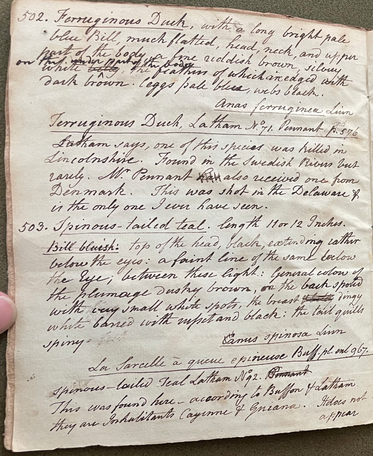 Lecture on Natural History 22