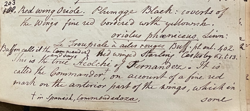 Lecture on Natural History 17