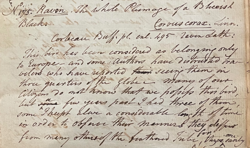 Lecture on Natural History 17