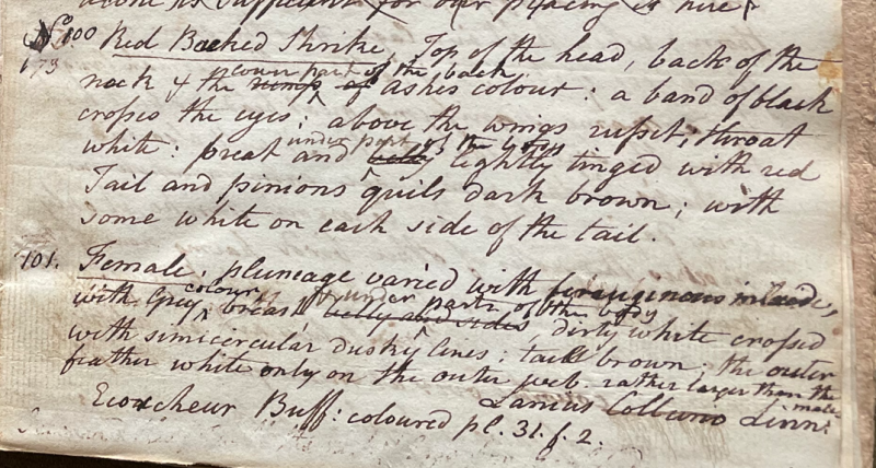 Lecture on Natural History 15