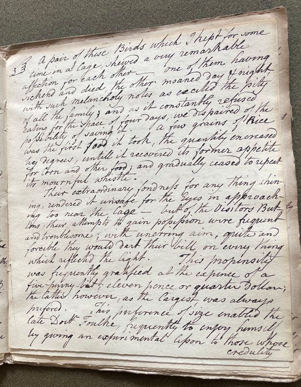 Lecture on Natural History 28