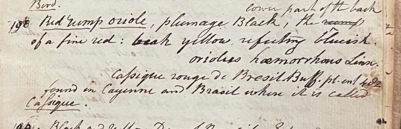 Lecture on Natural History 17