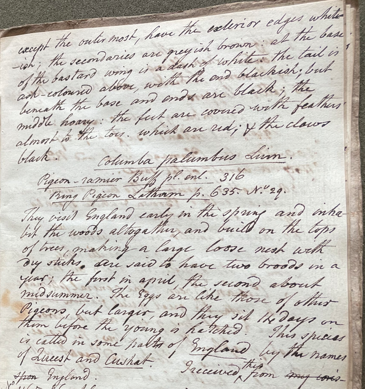 Lecture on Natural History 30