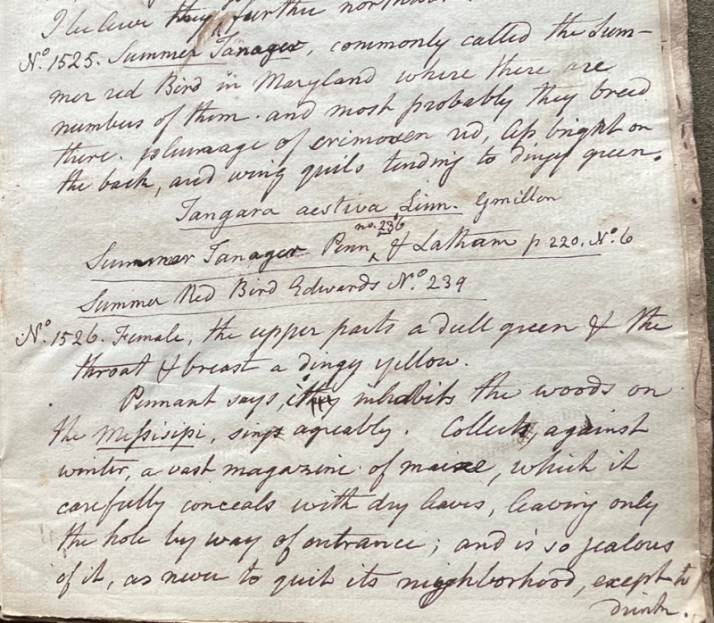 Lecture on Natural History 33