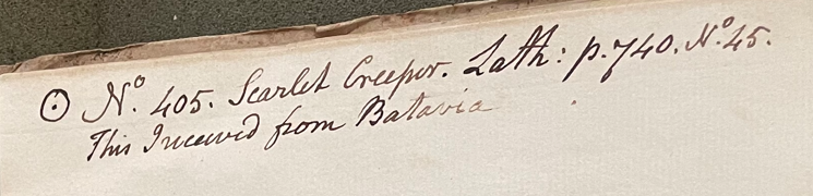 Lecture on Natural History 20