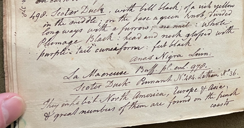 Lecture on Natural History 21