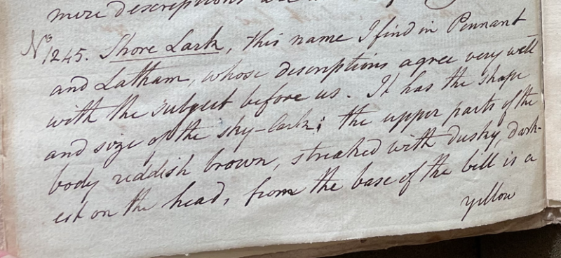 Charles Willson Peale, Lecture on Natural History 31