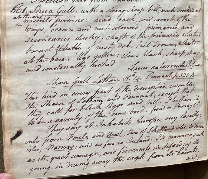 Lecture on Natural History 24