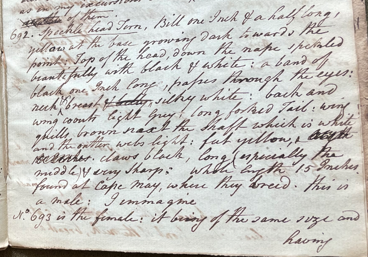 Lecture on Natural History 24