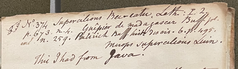 Lecture on Natural History 19