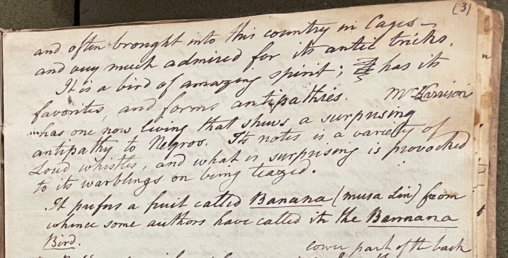 Lecture on Natural History 17