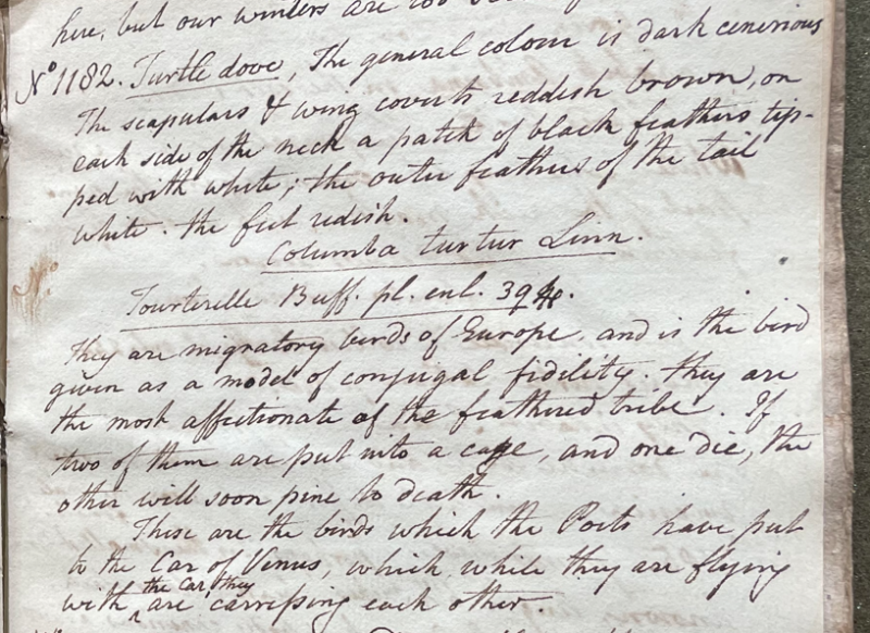 Lecture on Natural History 30