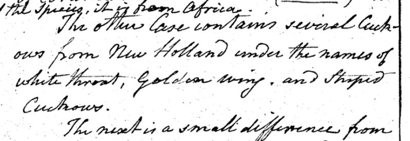 "A Walk through the Philad[elphi]a Museum"