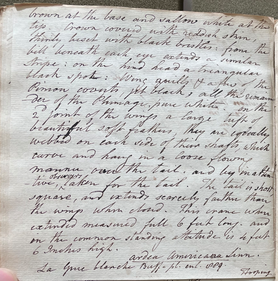 Lecture on Natural History 25