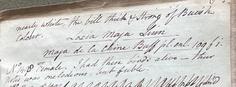 Lecture on Natural History 32