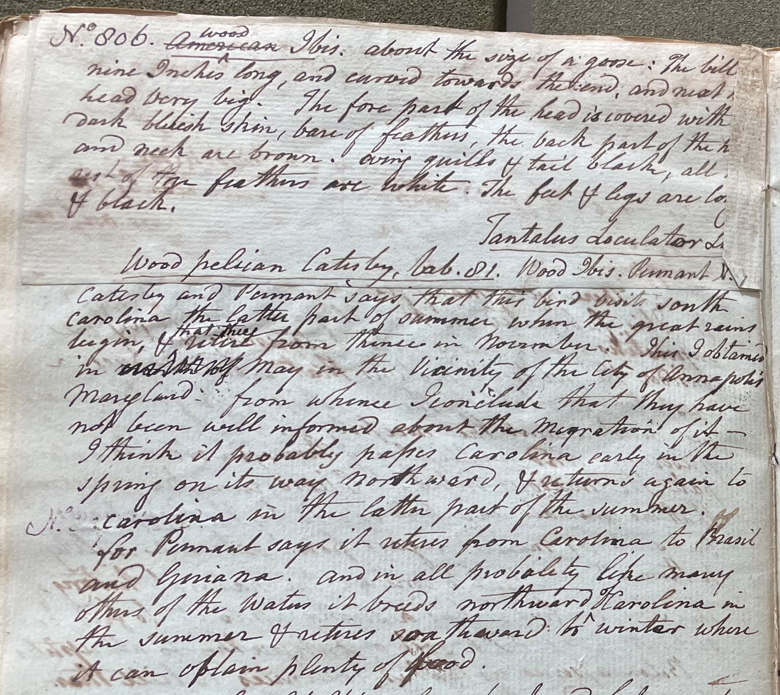 Lecture on Natural History 25